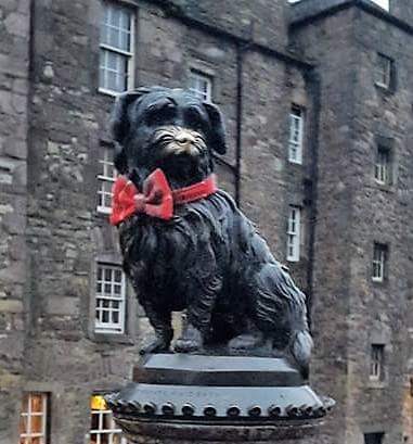 (Brodie) Harris Tweed Bow Tie Dog Collar - Red/Grey Check - BOWZOS