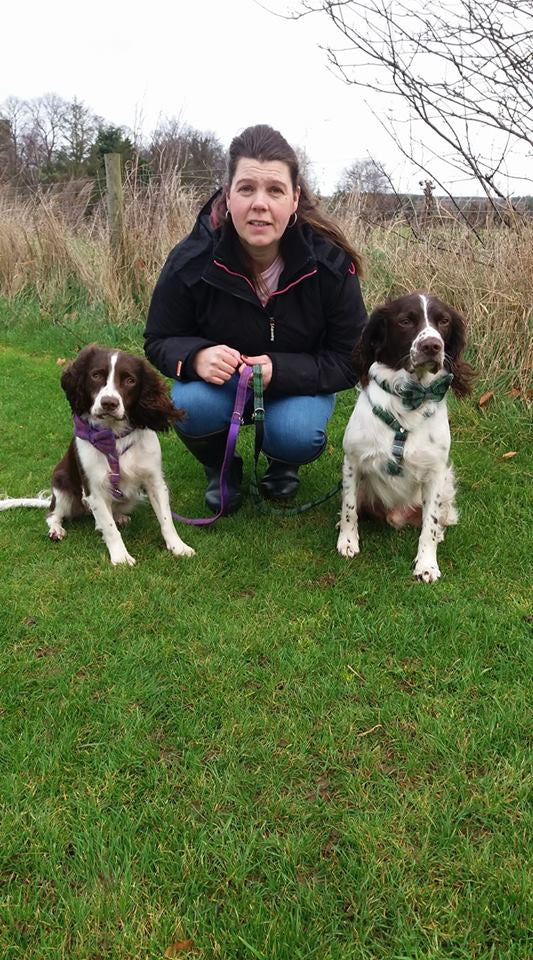 (Mull) Harris Tweed Harness - Fuschia Purple Check - BOWZOS