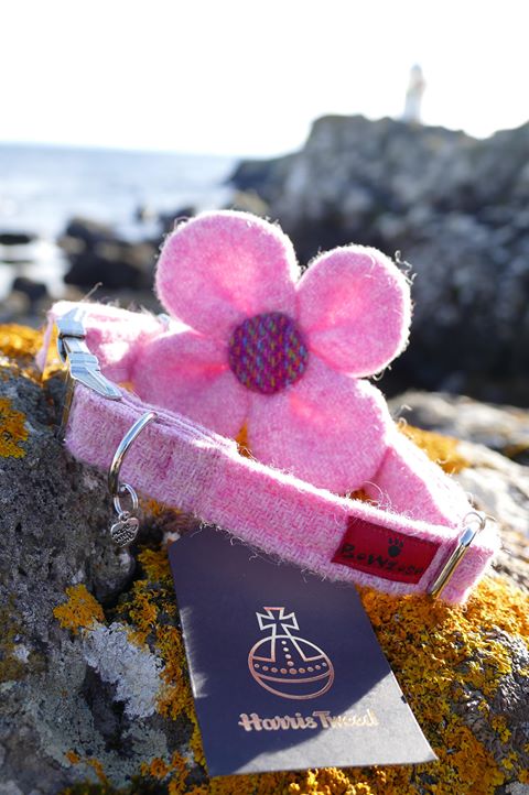 (Rose) Harris Tweed Flower Dog Collar & Lead Set - Baby Pink - BOWZOS