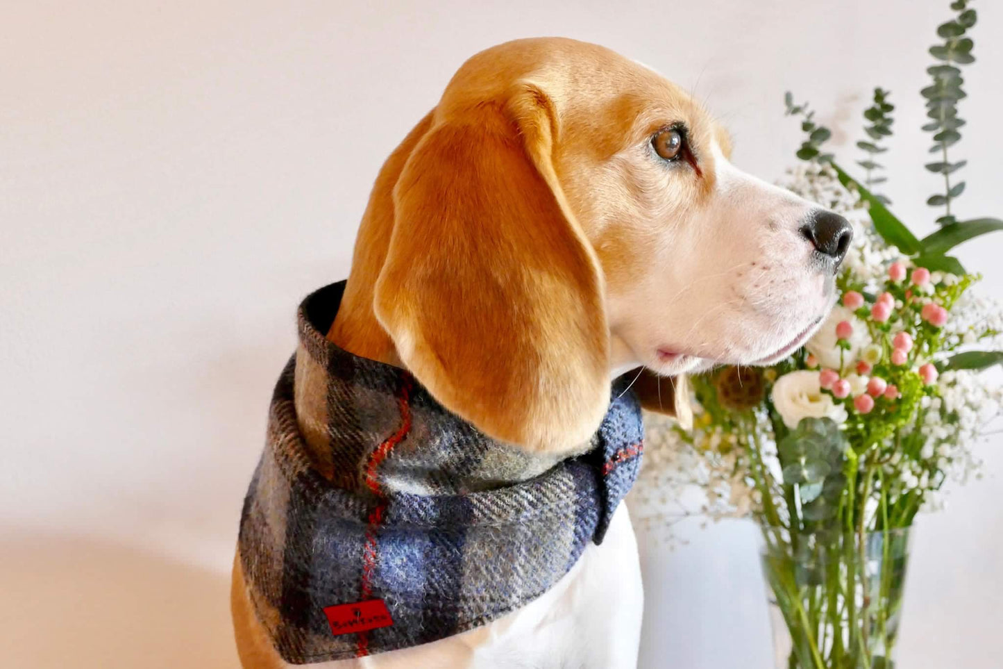 (MacKenzie) Scruffneck - MacKenzie Tartan - BOWZOS