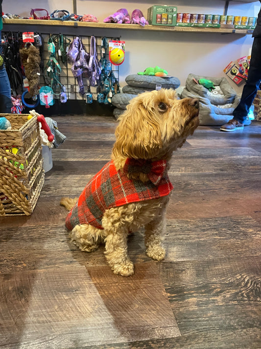 (Brodie) Harris Tweed® Dog Coat - Red & Grey Tartan
