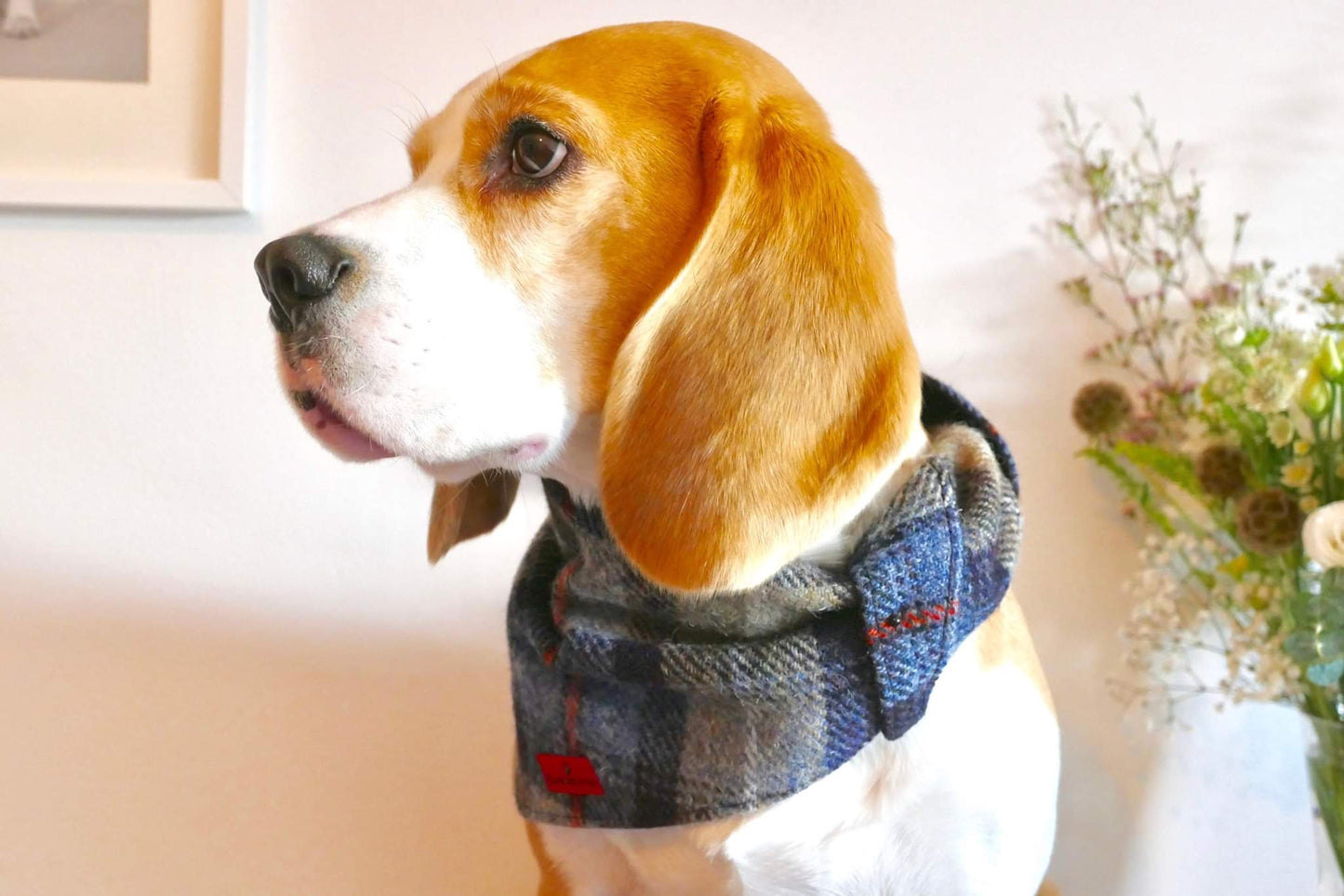 (MacKenzie) Scruffneck - MacKenzie Tartan - BOWZOS