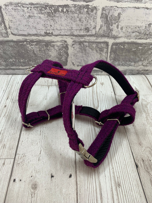 (Caledonian) Harris Tweed Harness - Dark Purple - BOWZOS