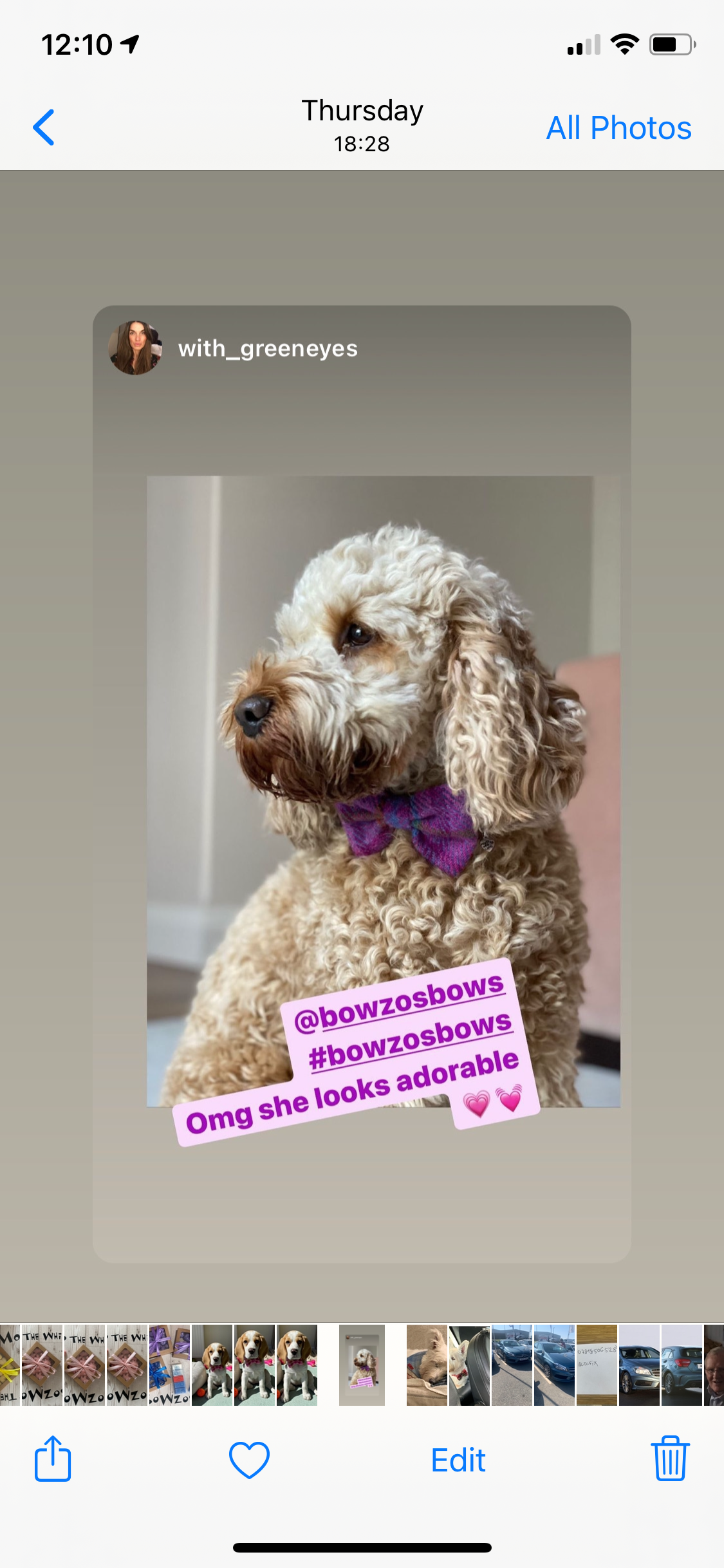 (Jura) Harris Tweed® Bow Tie Dog Collar - Purple Check