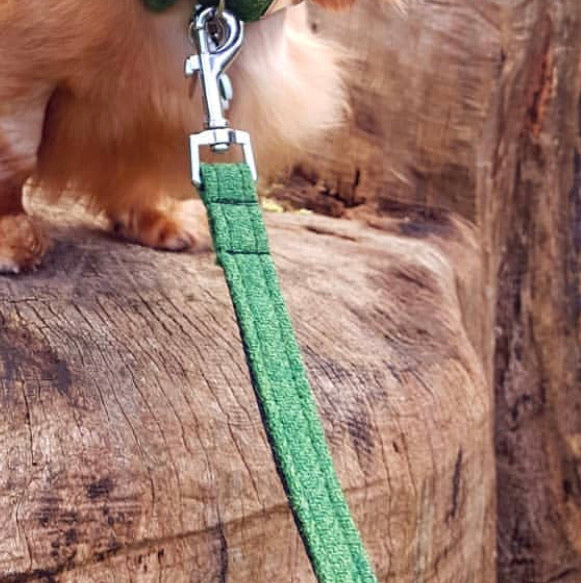 (Evergreen) Harris Tweed Dog Collar & Lead Set - Evergreen - BOWZOS
