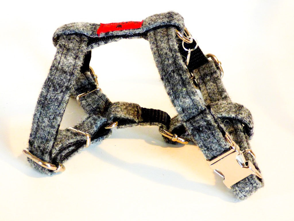 (Greyfriars) Harris Tweed Harness - Grey Check - BOWZOS