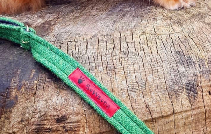 (Evergreen) Harris Tweed Dog Collar & Lead Set - Evergreen - BOWZOS