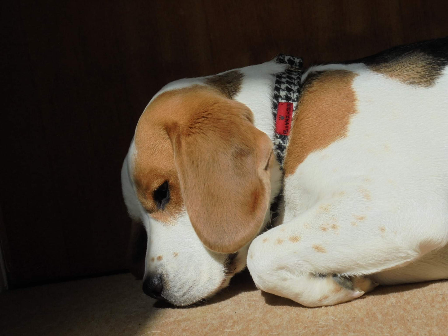 (Nessie) Houndstooth Harris Tweed Dog Collar - BOWZOS