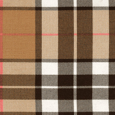 Bow Tie Collar - Thomson Tartan