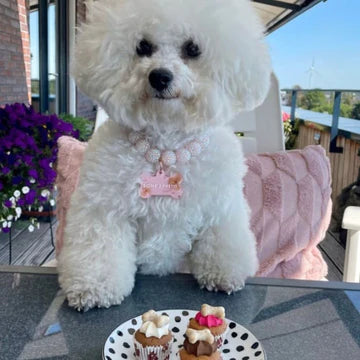 BARKING BAKERY - MINI ICED TRIOS - BOWZOS