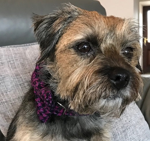 (Hetty) Houndstooth Harris Tweed Bow Tie Dog Collar - BOWZOS