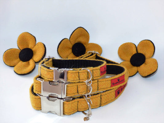(Cairn) Harris Tweed Flower Dog Collar - Citrus Yellow - BOWZOS