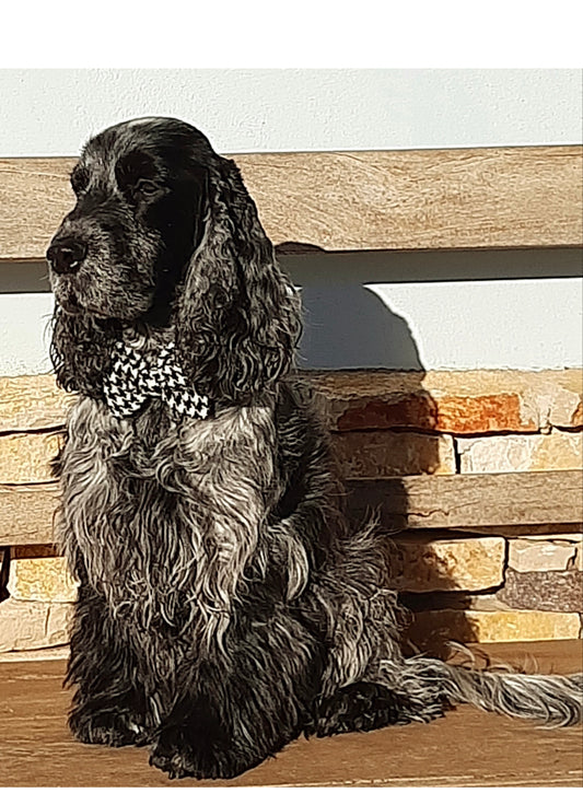 (Nessie) Houndstooth Harris Tweed® Bow Tie Dog Collar