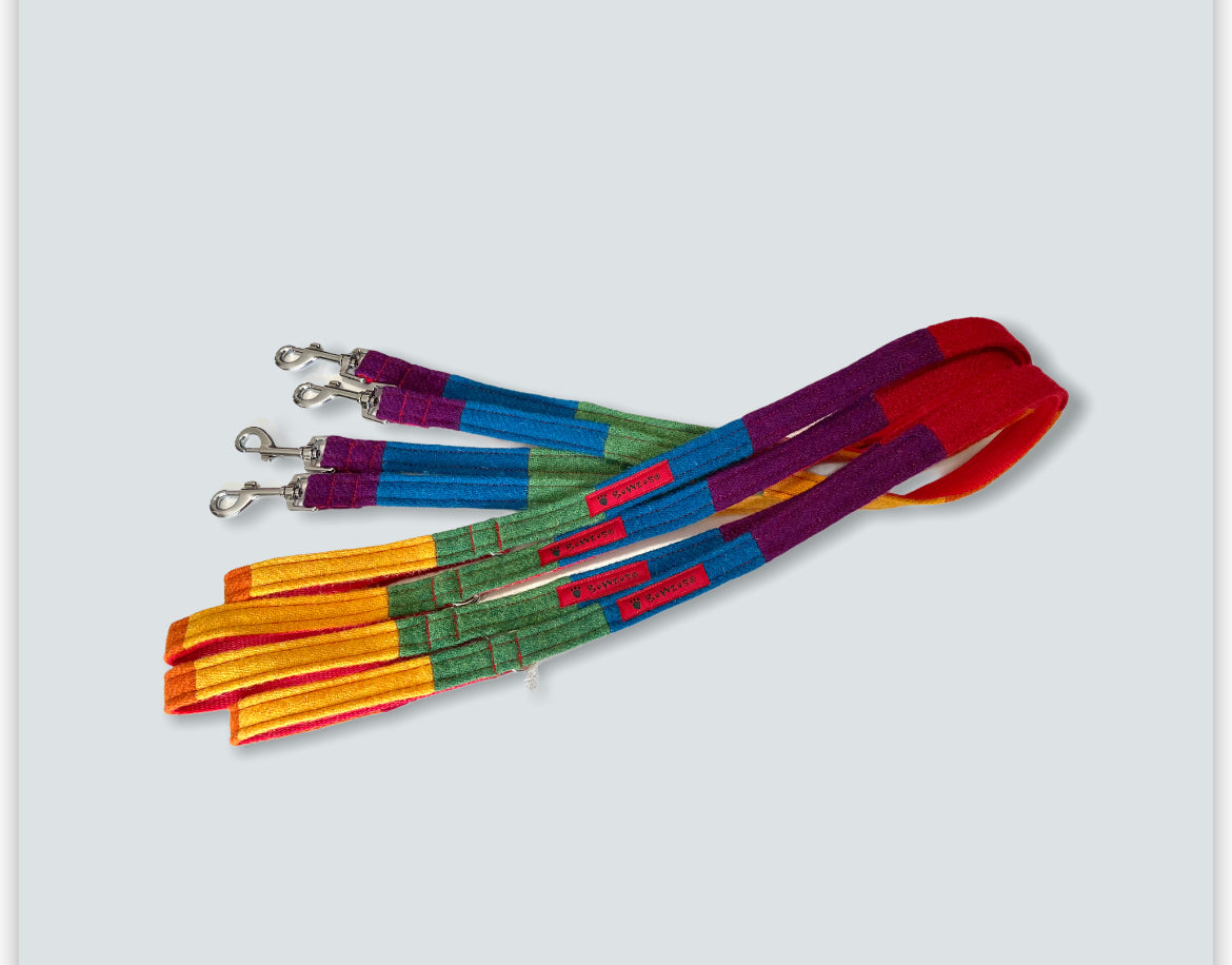 Harris Tweed® Rainbow Dog Collar & Lead Set 🌈